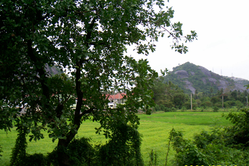 Pothuhera Bare Land for sale